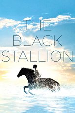 Thumbnail for The Black Stallion (1979)