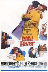 Thumbnail for Wild River (1960)