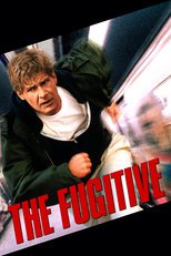 Thumbnail for The Fugitive (1993)