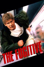 Thumbnail for The Fugitive (1993)