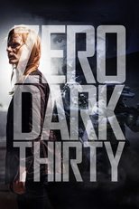 Thumbnail for Zero Dark Thirty (2012)