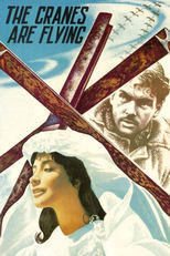 Thumbnail for The Cranes Are Flying (1957)