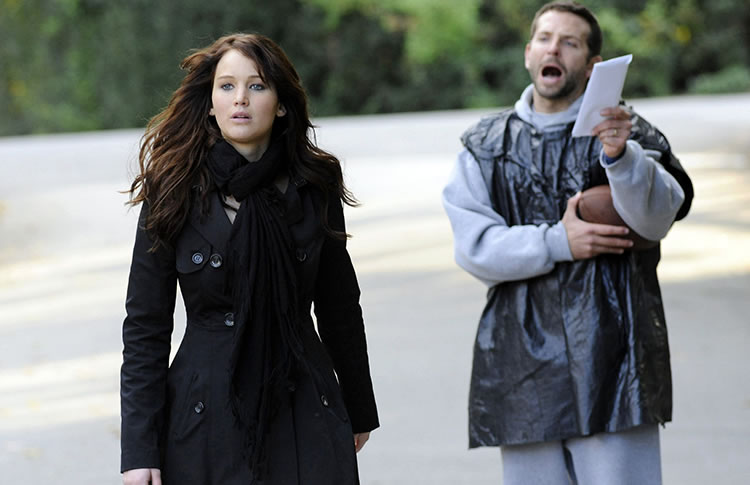 Silver Linings Playbook (2012)
