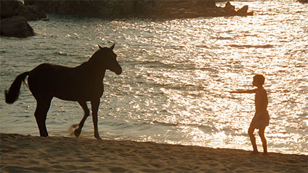 The Black Stallion (1979)