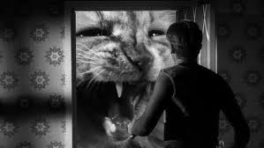 The Incredible Shrinking Man (1957)